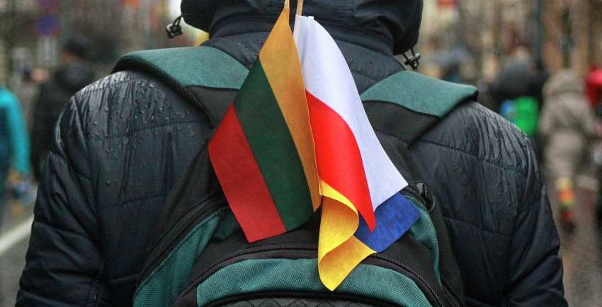 Люблинский треугольник: Польша, Литва и Украина хотят использовать Беларусь для давления на Россию