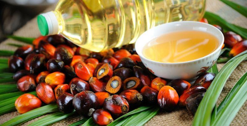 Пальмовое масло нас убивает или нас обманывают?
