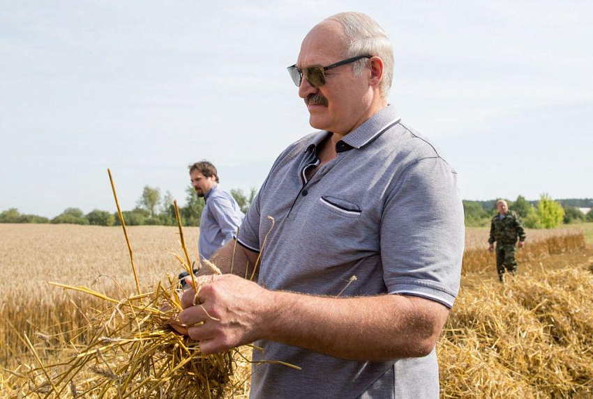 Лукашенко и Додон вместе посеют пшеницу на тракторе «Беларусь»