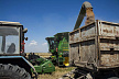 Молдавские аграрии призвали власти продлить лицензирование импорта зерновых и масличных культур