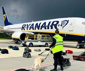 В «Белаэронавигации» отреагировали на обвинения США по рейсу Ryanair