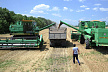 Интеграция в сельском хозяйстве укрепляет экономику Беларуси и России