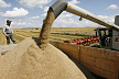 Казахстан дополнительно импортирует пшеницу из России в случае дефицита
