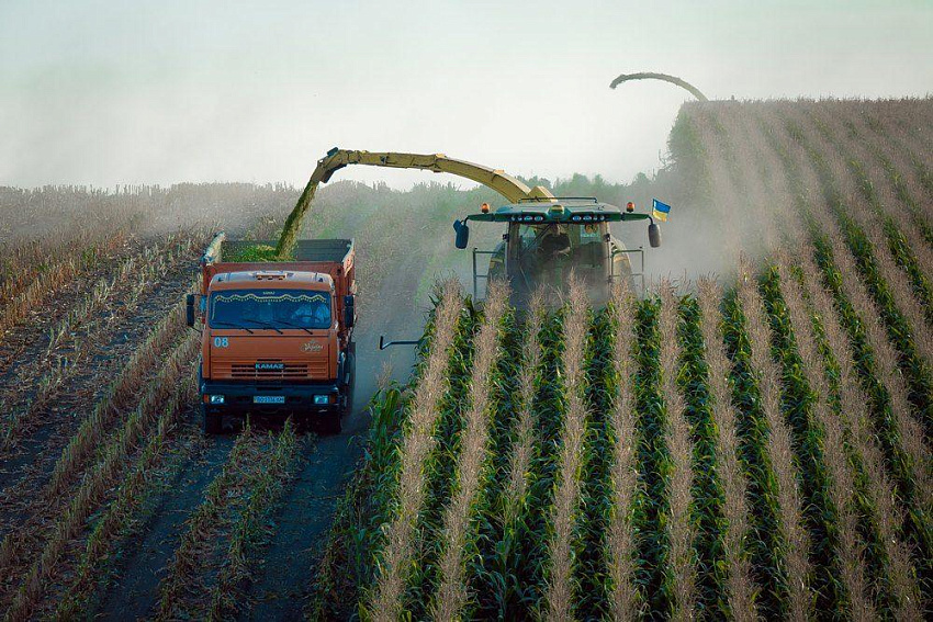 «Много земли, мало денег»: что стоит за упадком сельского хозяйства Украины