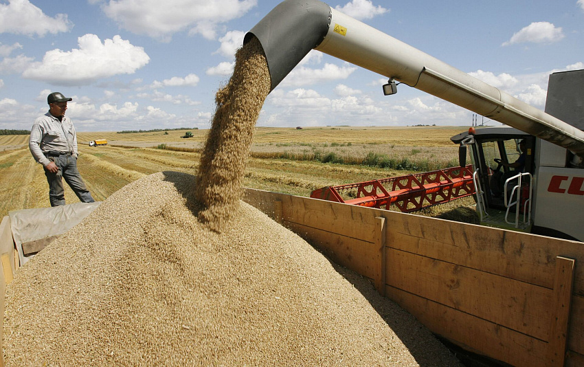 Казахстан дополнительно импортирует пшеницу из России в случае дефицита
