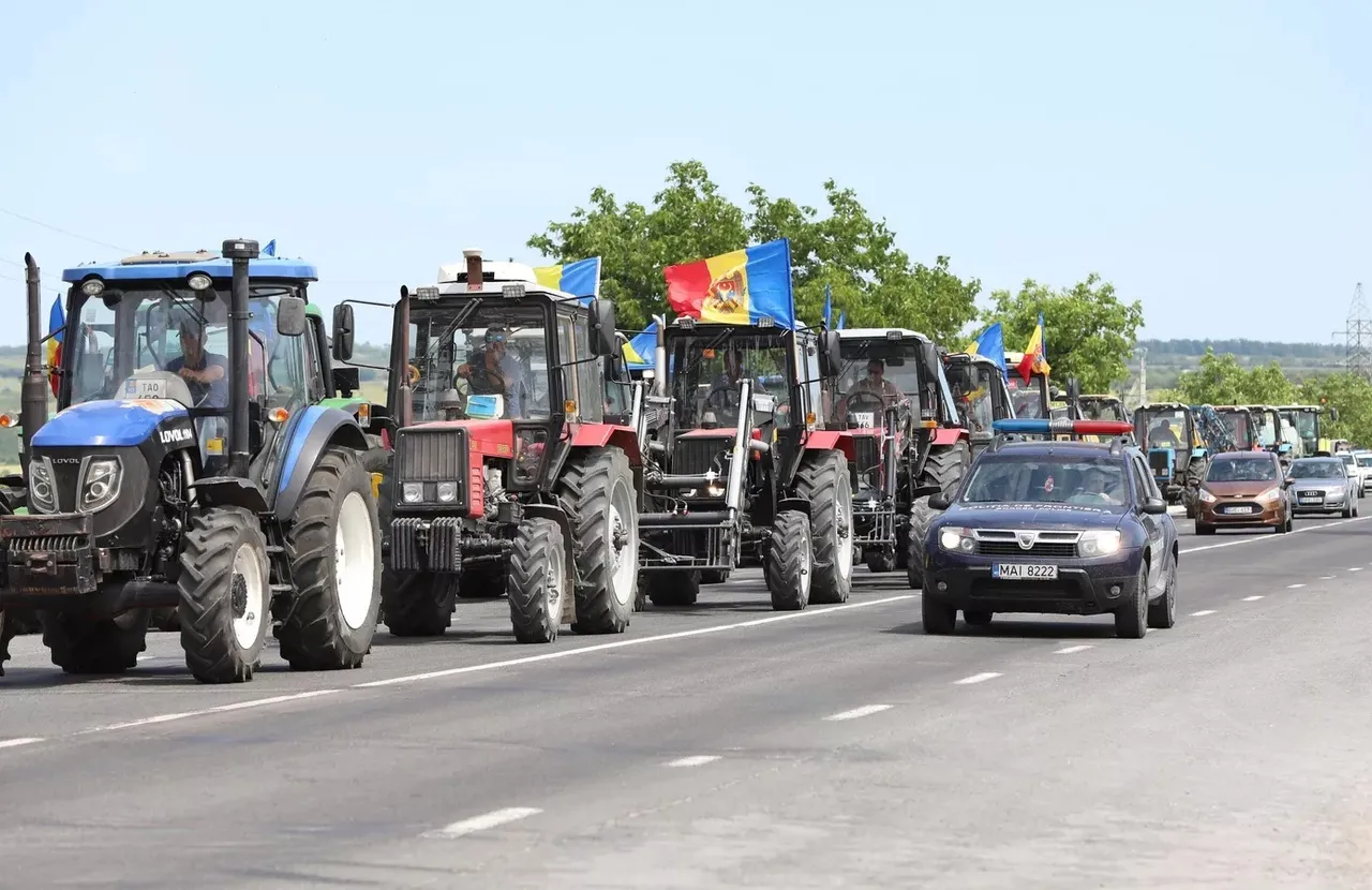 Фермеры Молдовы заявили о рисках для экспорта из-за увеличения поставок с Украины