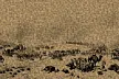 Окончание Хивинского похода Российской Империи