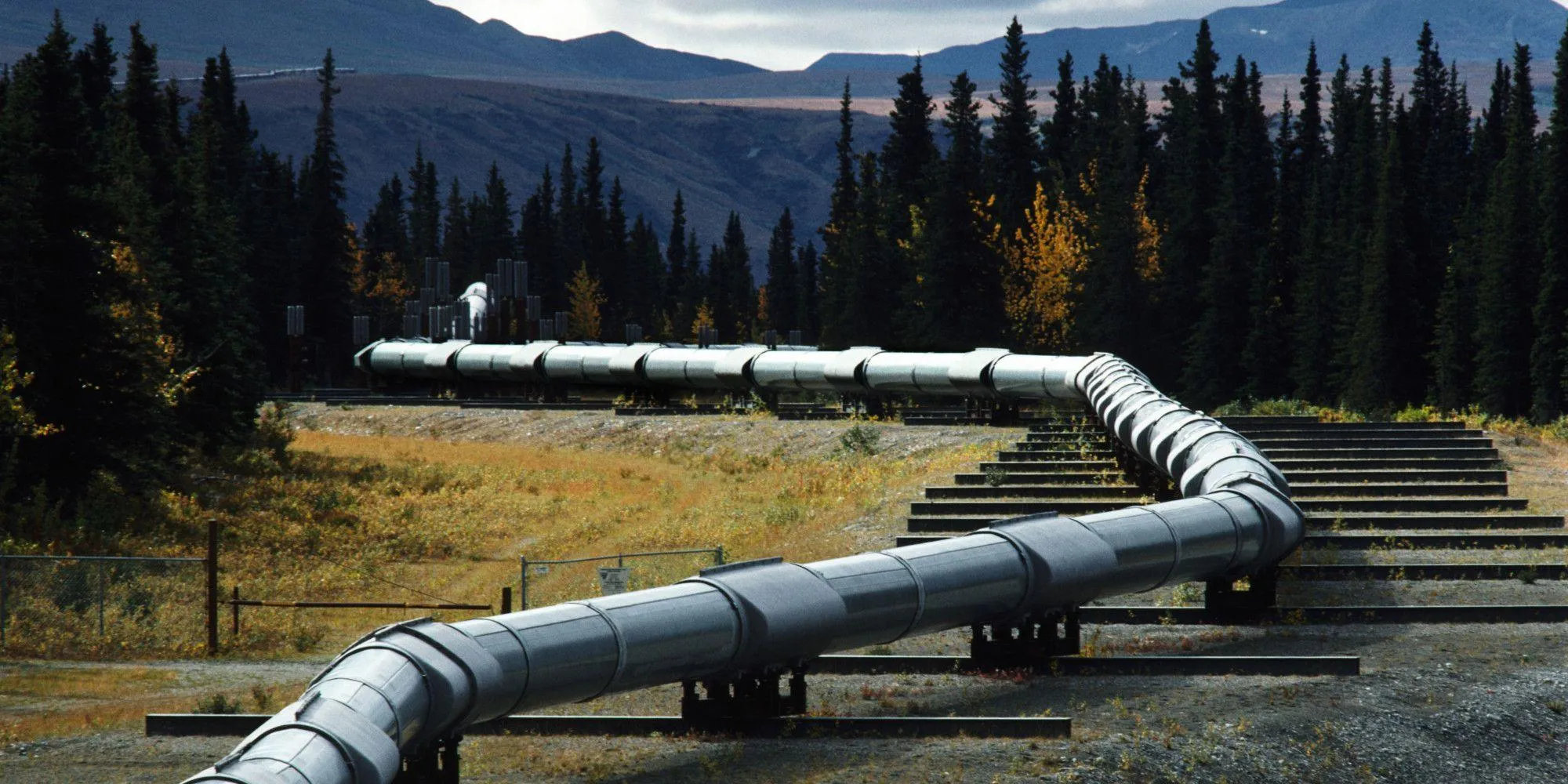 Россия возобновит поставки качественной нефти в Беларусь