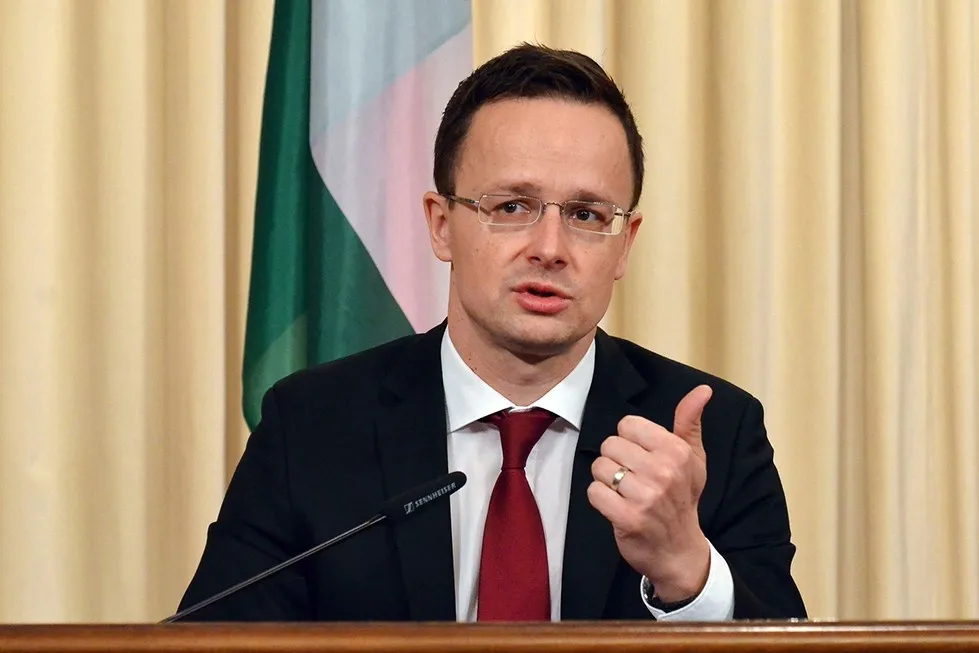 В Венгрии прокомментировали отправку европейских военных советников на Украину