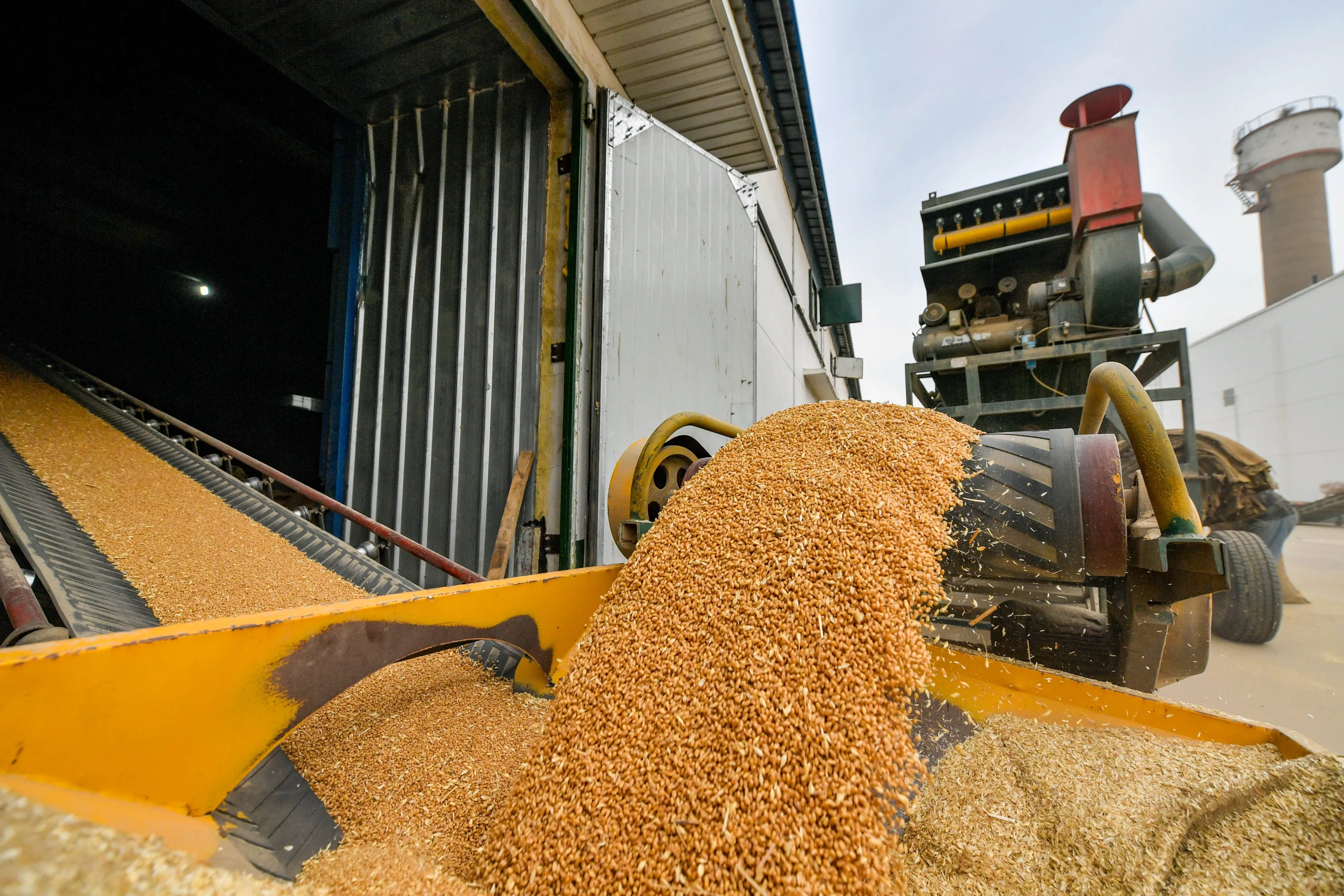 Запрет российского зерна усугубит экономические проблемы Латвии