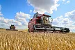 Делегация Красноярского края посетила аграрный комплекс Беларуси