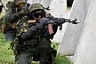 Steadfast Defender: чего ждать от крупнейших учений НАТО в ХХI веке