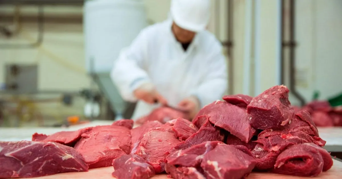 Российский экспорт составил более 50% поставок мяса в Казахстан