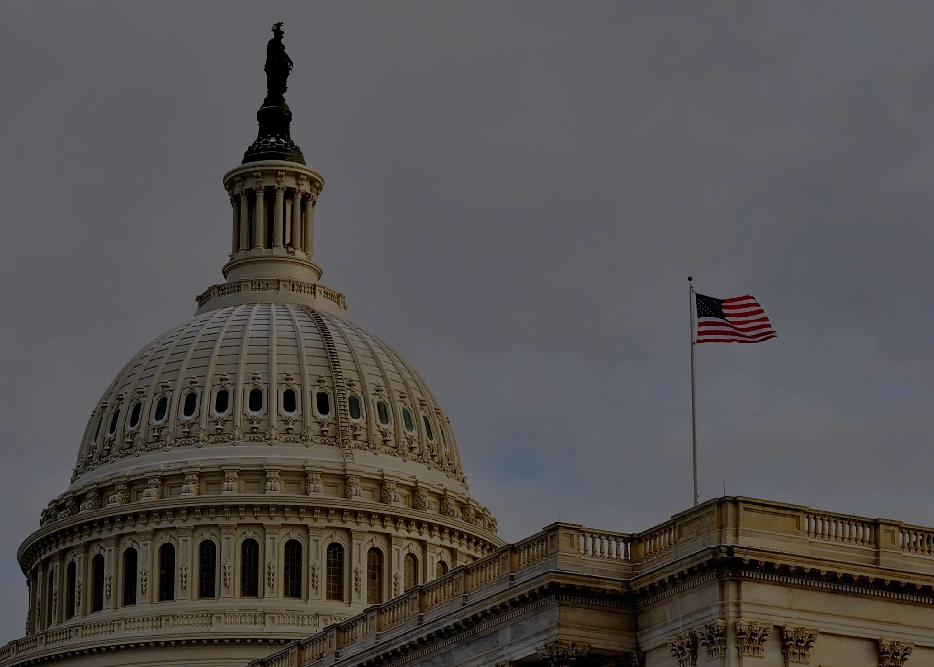 Экс-советник Билла Клинтона: Происходящее в США – это путч спецслужб