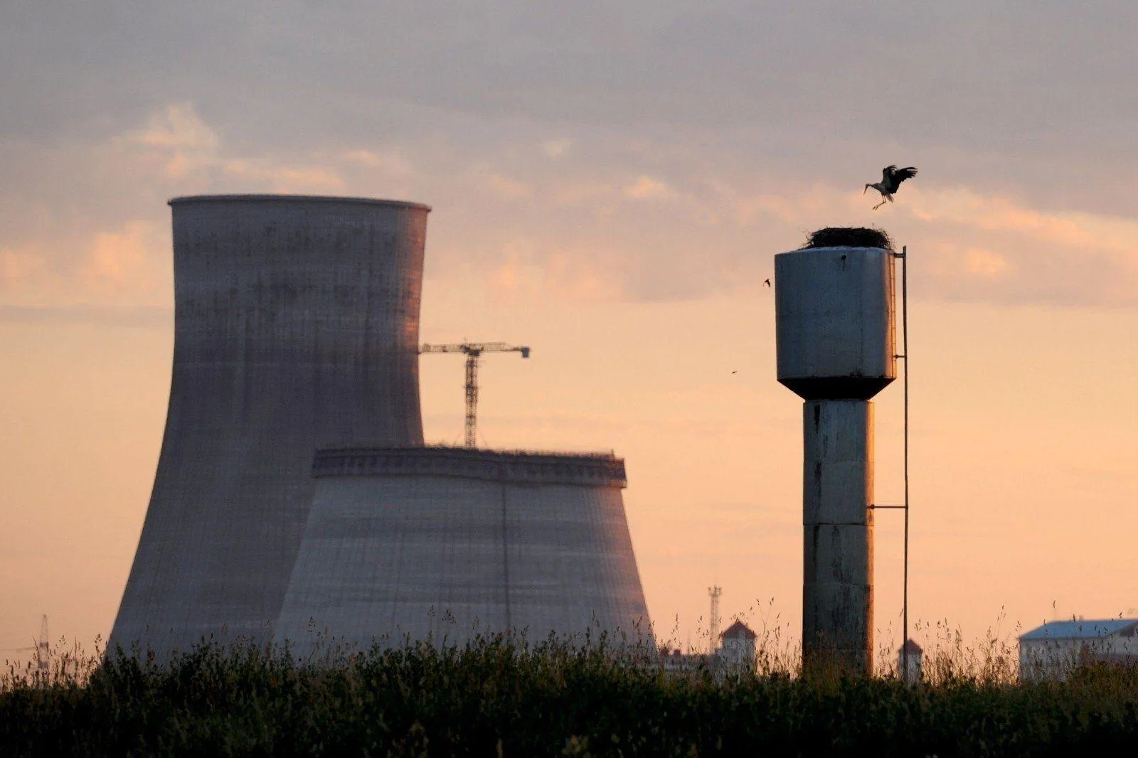 Литва не сможет блокировать поставки энергии БелАЭС в Европу – литовский эксперт