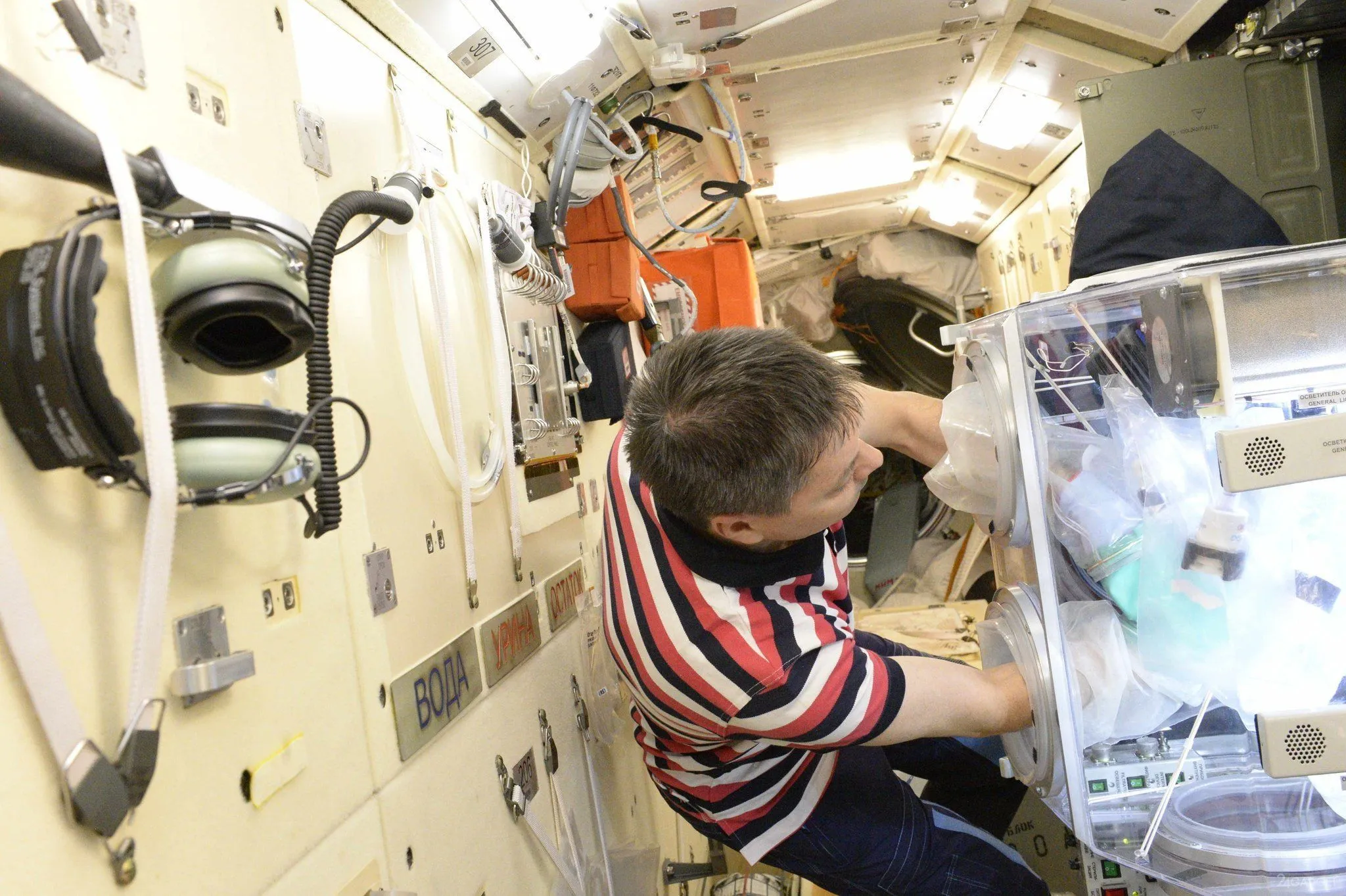 В Академии наук Беларуси раскрыли, чем займется на орбите белорусский космонавт