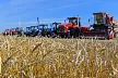 Казахстан планирует нарастить поставки сельхозпродукции в Россию