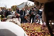 Додон: молдавские производители яблок обречены на банкротство 