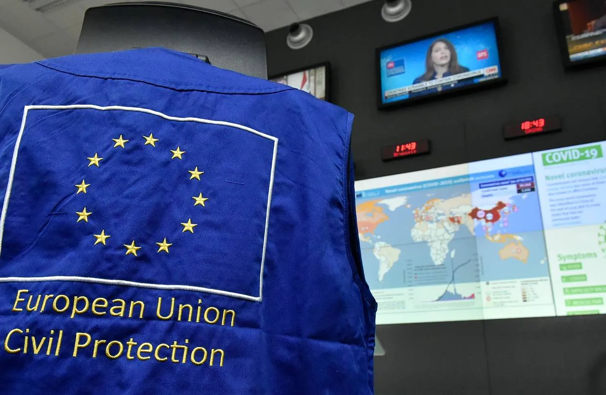 Реакция на коронавирус показала неготовность Евросоюза к расширению – сербский эксперт